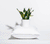 Down Pillow with a plant in a white pot sitting on top. Image is moving up and down showing pillow loft.